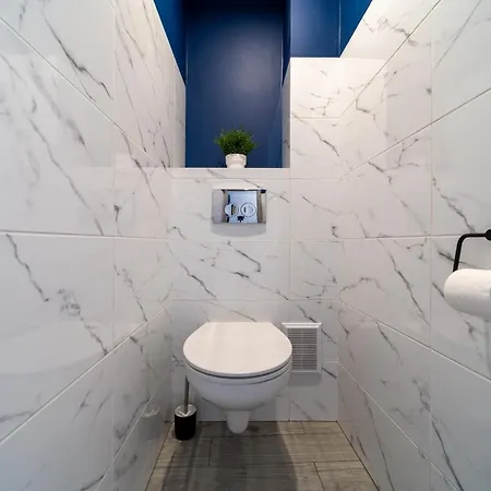 Widok Z Centrum Szklarska Poręba